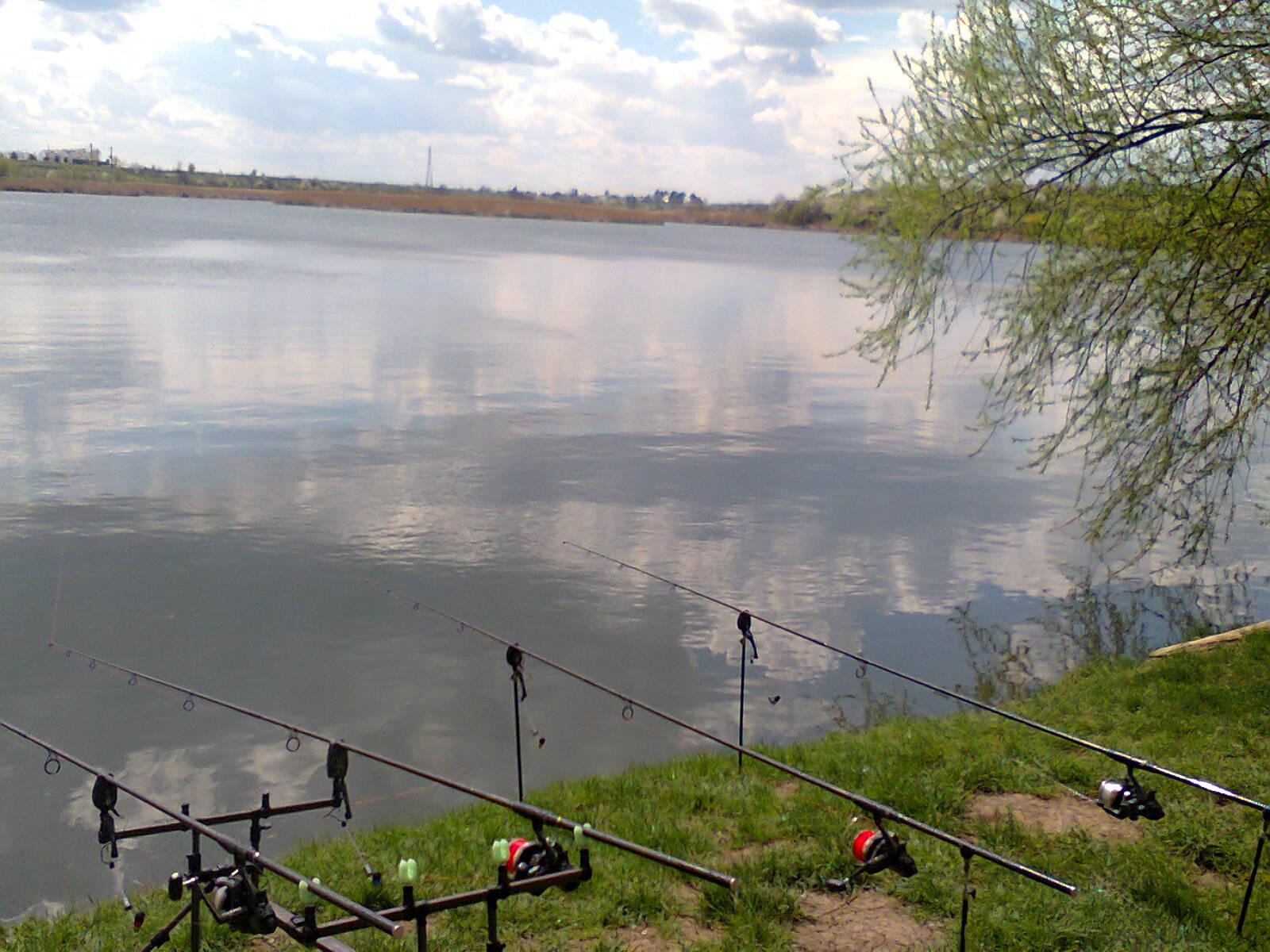 Tancabesti - fotografie0040.jpg